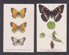 British butterflies moths for sale  WEYMOUTH