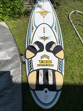 Surfbrett zubehör maste gebraucht kaufen  Donaueschingen