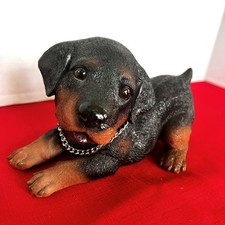 Rottweiler dog puppy for sale  Clio