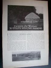 1905 poultry farming for sale  VERWOOD