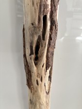 Treibholz treibgut skulptur gebraucht kaufen Treibholz treibgut skulptur gebraucht kaufen  Pfaffenhofen a.d.Roth