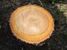 Wild cherry wood for sale  Owosso