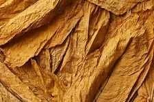 Adesivos fofos estilo azulejo mosca animal de estimação flor colorida comprar usado  Enviando para Brazil