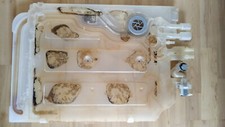 Wassertasche reginierdosierung gebraucht kaufen  Herrieden