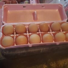 Heritage dominique hatching for sale  Liberty
