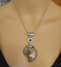 Ammonite tiger eye for sale  Springfield