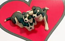 Border collie pups for sale  MAIDENHEAD