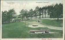 Wimbledon common caesar for sale  MANCHESTER