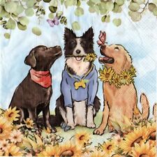 Serviettes papier chien d'occasion  France