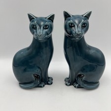 Pair siamese cats for sale  PRESTON