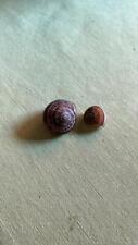 CARACOL DE AGUA, NO ES IGBIN ACLARO, PERO SI MUY UTILIZADO PARA MEDICAMENTOS DE IFA comprar usado  Enviando para Brazil