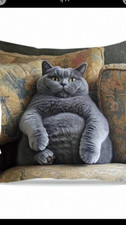 Large cat cushion for sale  STROUD