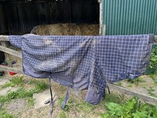 6ft equidor equestrian for sale  PLYMOUTH