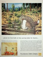 Original vintage print for sale  Redding