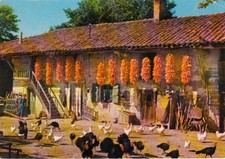 Ain ferme bressane d'occasion  Bourg-de-Péage