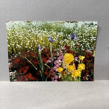 1990s found photo for sale  New Castle