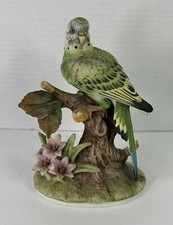 Andrea sadek parakeet for sale  Pittsburg