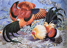 Game cocks fighting. for sale  NELSON