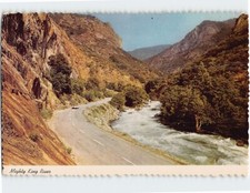 Postcard mighty king for sale  Stevens Point