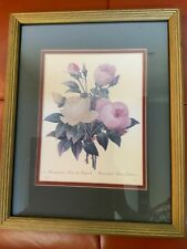 Redoute botanical rose for sale  Franklin