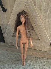 2009 mattel barbie for sale  Noblesville