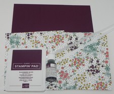 REFIL ALMOFADA DE TINTA BLACKBERRY BLISS 6X6 WILD FLO DESIGNER PAPEL CARTOLINA CARIMBO comprar usado  Enviando para Brazil