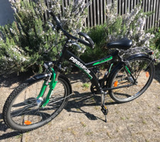 Kinderrad zoll pegasus gebraucht kaufen  Oldenburg (Oldenburg)
