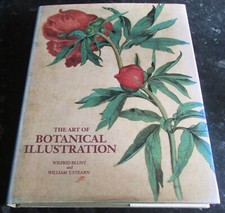 Art botanical illustration for sale  NORWICH