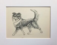Sheltie dog vintage for sale  NORWICH