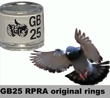 Rpra racing pigeons for sale  RAMSGATE