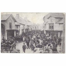 Lampeter dalis fair for sale  GLASGOW