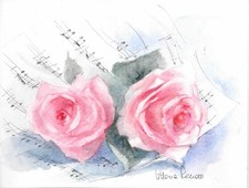 Rose rosa con usato Rose rosa con usato  Torino