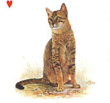 Bronze egyptian mau for sale  Colorado Springs
