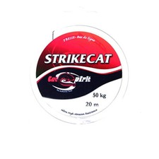Treccia carp spirit usato  Brusnengo