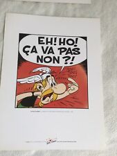 Sérigraphie astérix fils d'occasion  Montélimar