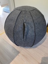 Gymnastikball sitzball filzman gebraucht kaufen  Ostrhauderfehn