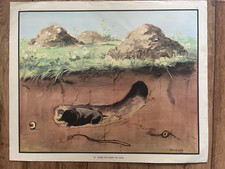 Eileen soper vintage for sale  DEAL