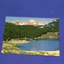 Lago vivo parco usato  Bari