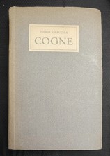 Libro cogne piero usato  Castelnuovo Don Bosco