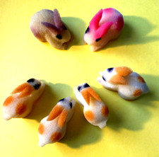 Multiplying rabbits for sale  Manteca