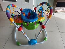Baby einstein jumperoo gebraucht kaufen  Massenhausen