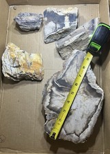 Petrified wood slab for sale  Boise