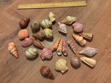 Lot seashells ceramic for sale  Williamsburg