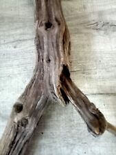 Driftwood piece for sale  PLYMOUTH