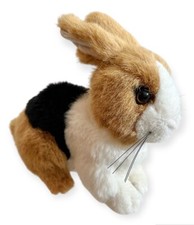 Dwarf rabbit soft for sale  BEDFORD
