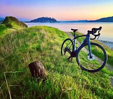2022 domane matte for sale  Harrison