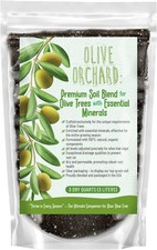 Organic olive tree for sale  Chicago