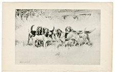 Beagle hounds antique for sale  COLEFORD