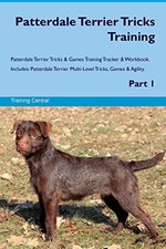 Patterdale terrier tricks for sale Patterdale terrier tricks for sale  UK