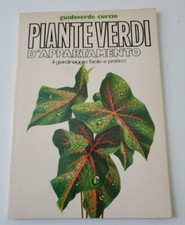 Piante verdi appartamento usato  Russi